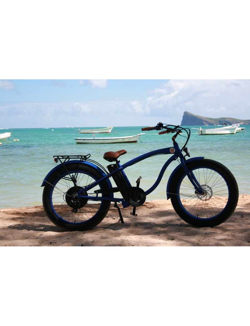 Electric Bike and Fat Bike Classic Blue