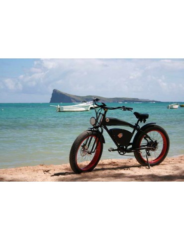 Vélo électrique et Fat Bike Vintage Noire